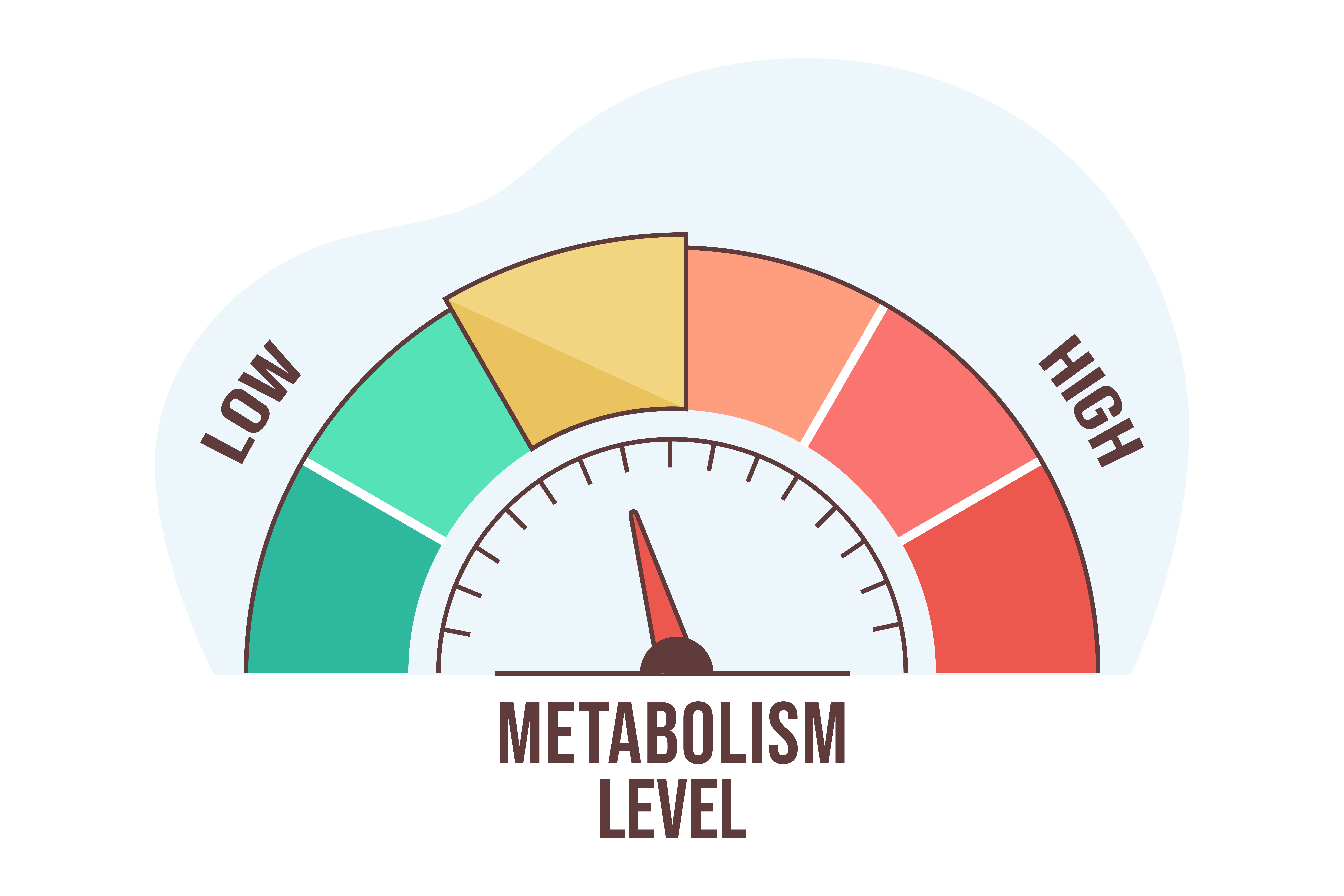 slow metabolism during menopause — Why Your Metabolism Feels Slower During Menopause